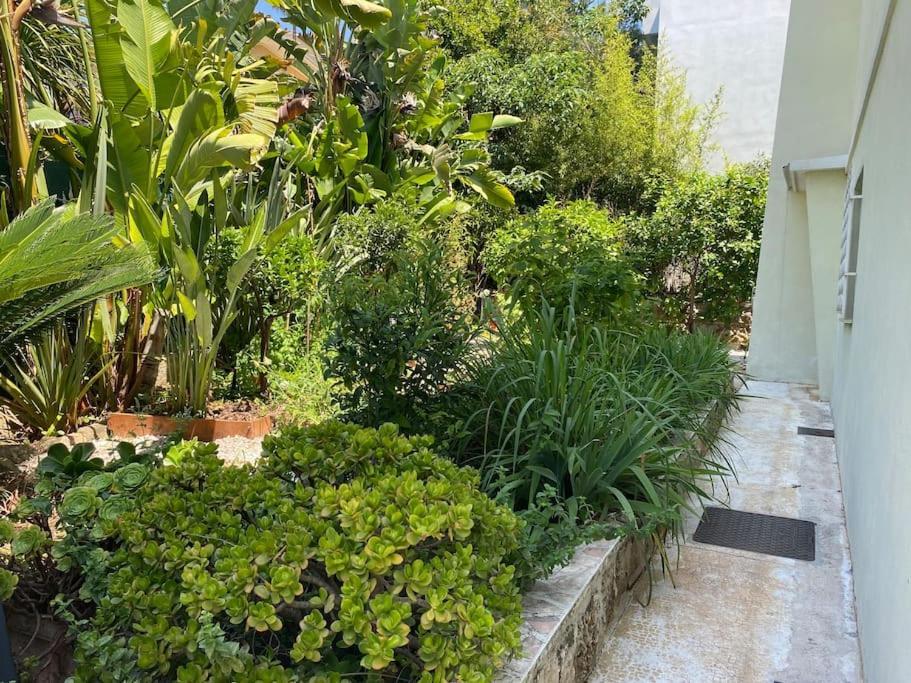 Bas Maison Mont-boron 3 Bedrooms *